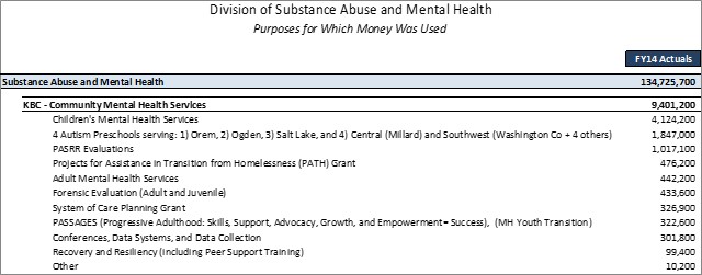 Community Mental Health Services Detailed Purposes